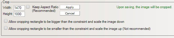 Crop tool additional options in image editor