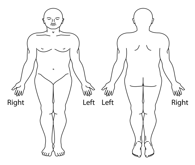 Radiograph Man